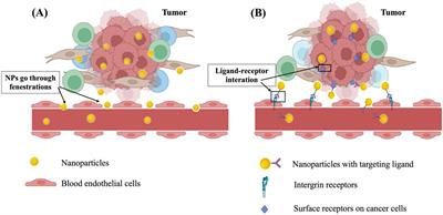 Recent advances in surface decoration of nanoparticles in drug delivery